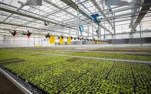 智慧農(nóng)業(yè)